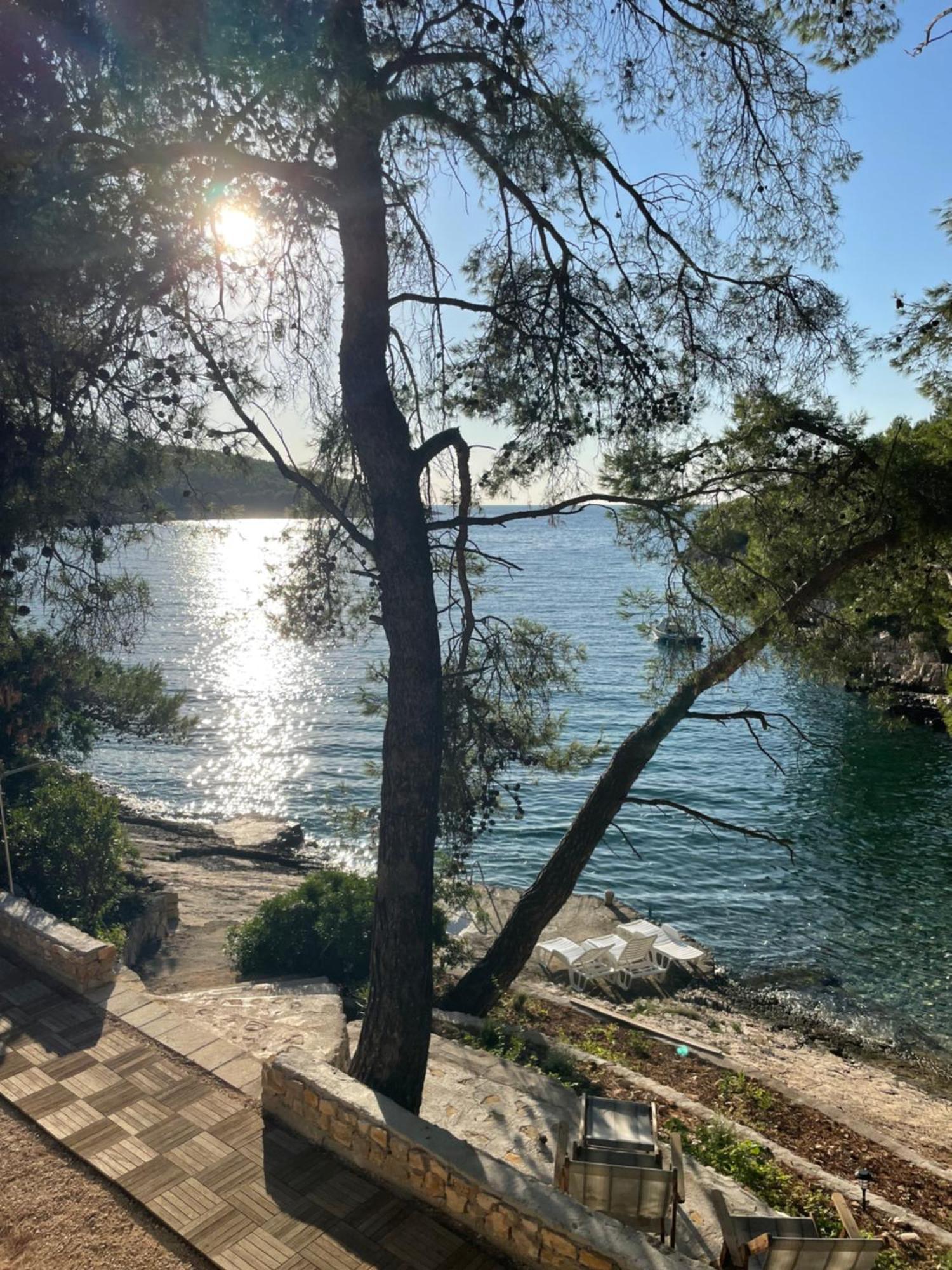 Villa Terra Nostra Hvar Hvar Town Exterior foto